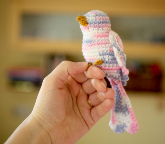 Bird crochet | Learn Everything Here